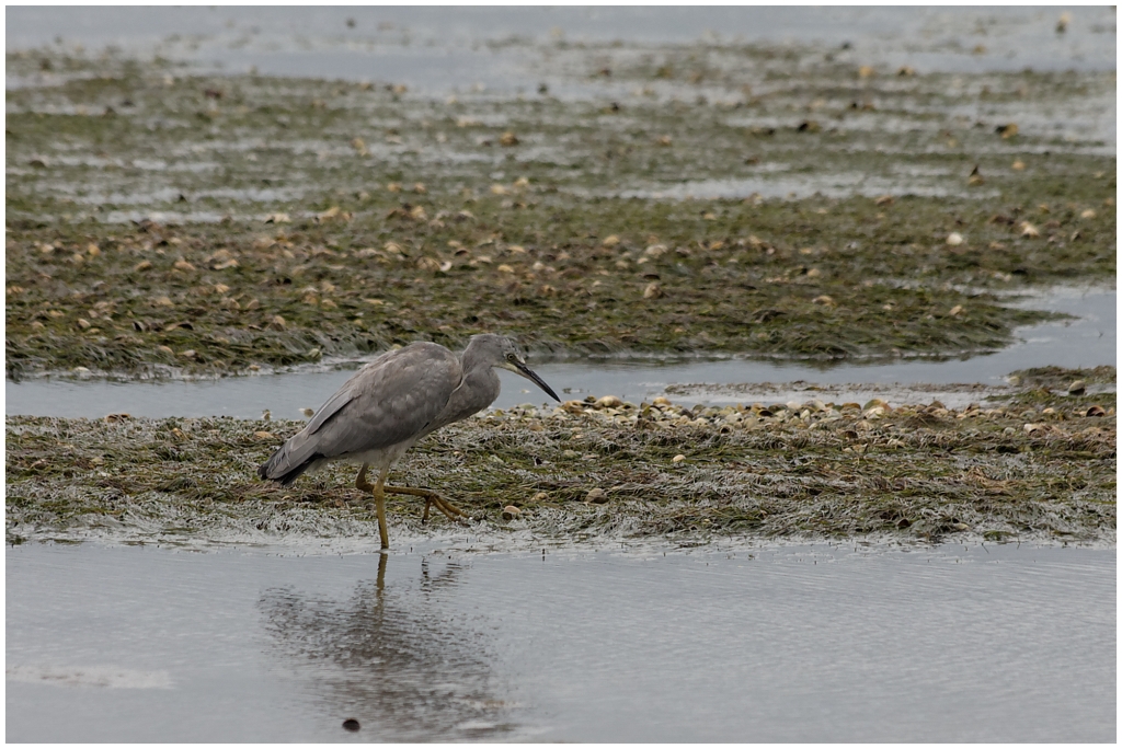 11 - Cape Farewell (08).jpg